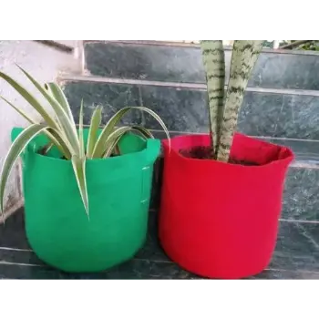 Solid Geo Fabric Grow Bags